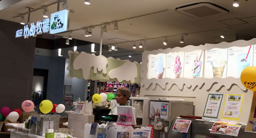 Narita Dream Farm Aeon Mall Okinawa Rycom Store