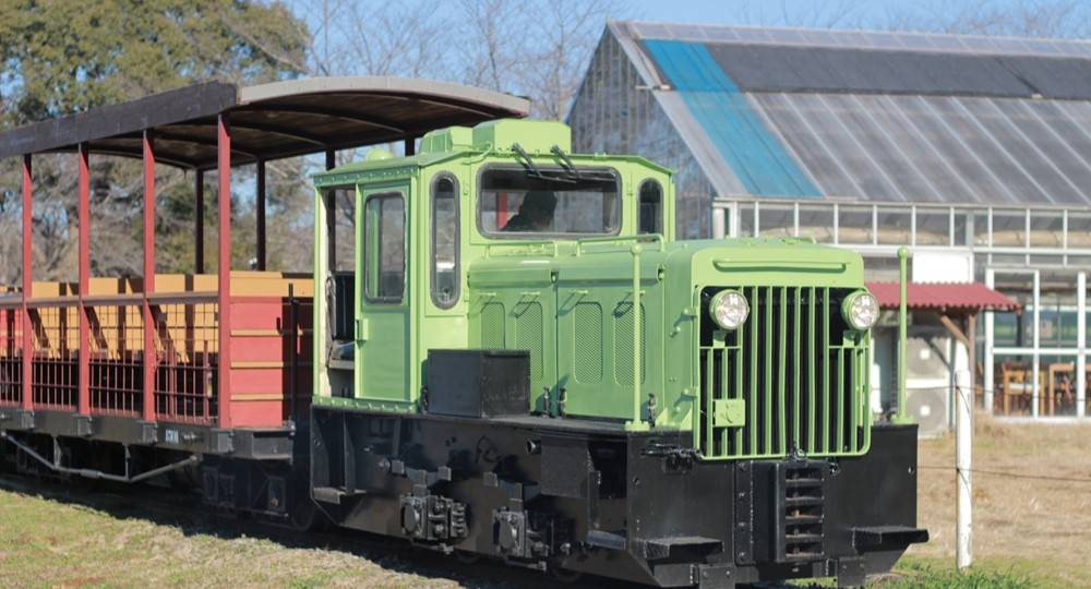トロッコ列車