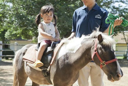ポニー乗馬