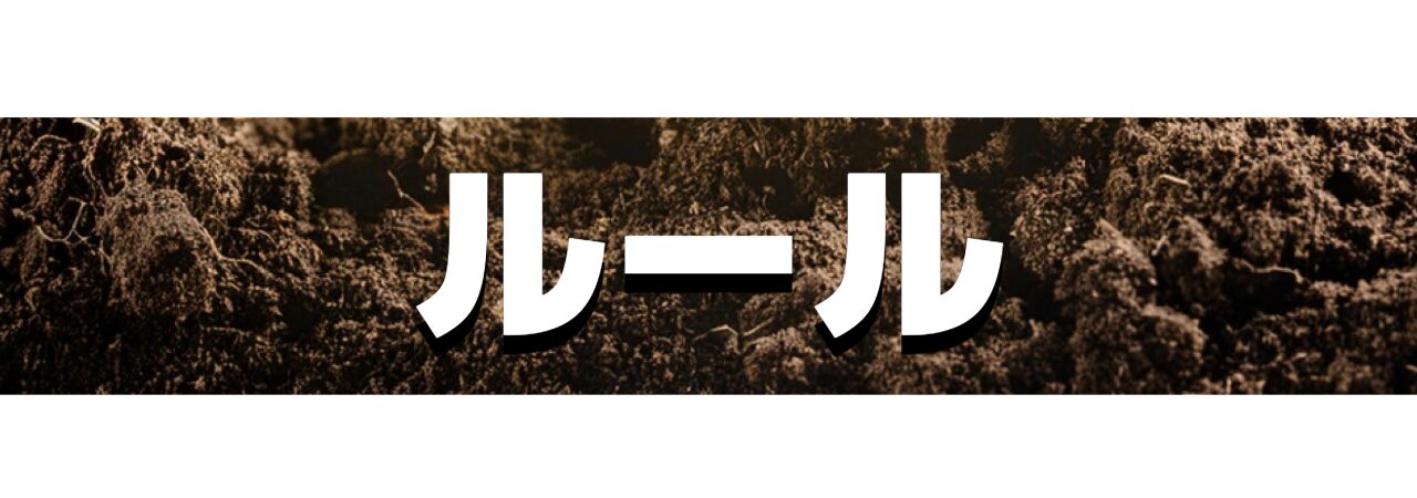 ルール