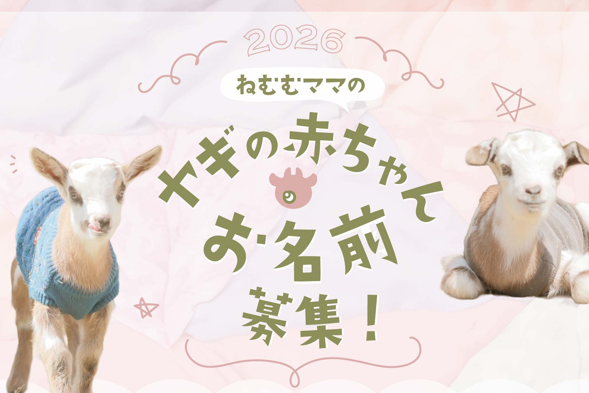 ヤギの赤ちゃん 2023.7.6誕生日 【公式通販】