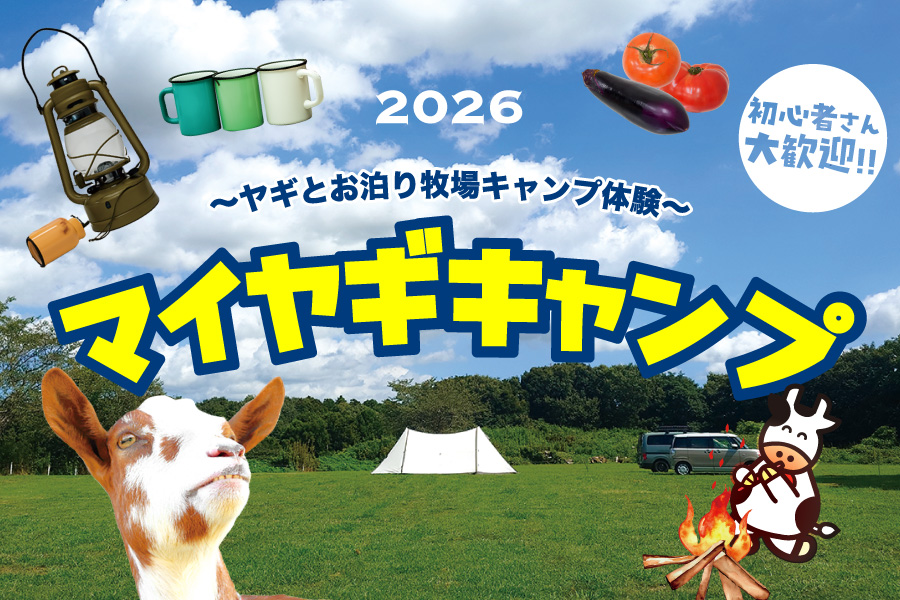 マイヤギキャンプ ～ヤギと過ごす牧場キャンプ体験～