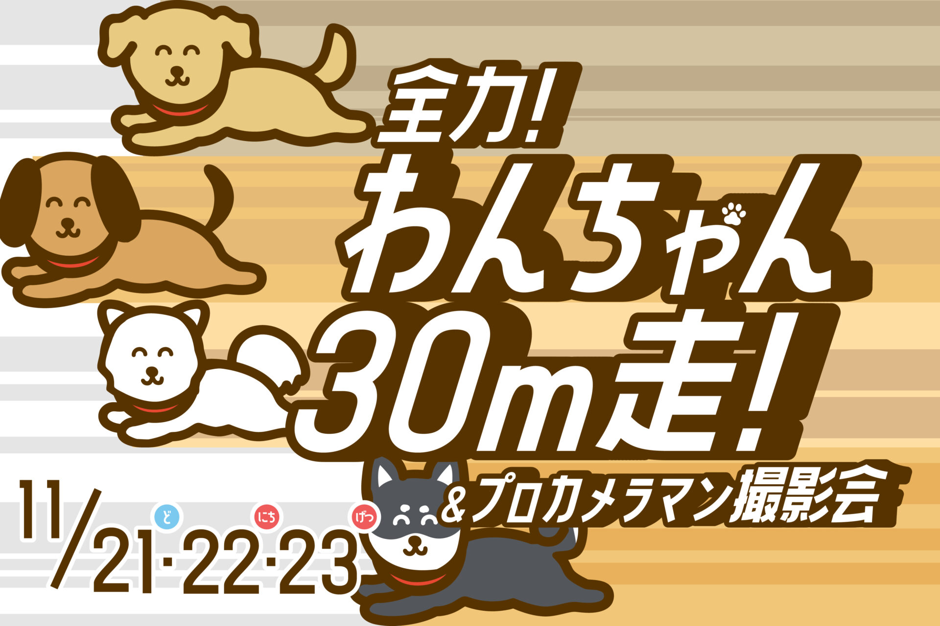 わんちゃん30ｍ走＆プロカメラマン撮影会
