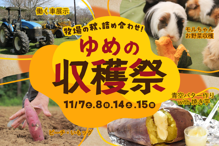 ゆめの収穫祭