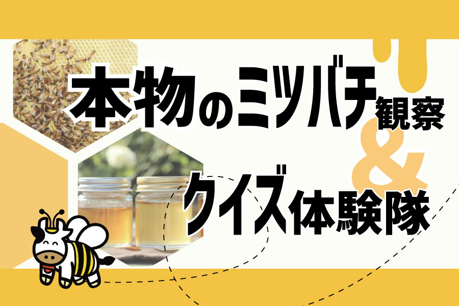 本物のミツバチ観察＆クイズ体験隊