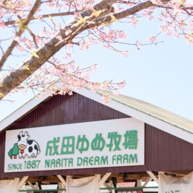 ゆめ牧場 - 日本一オイシイ乳製品をつくる観光牧場「成田ゆめ牧場」へ